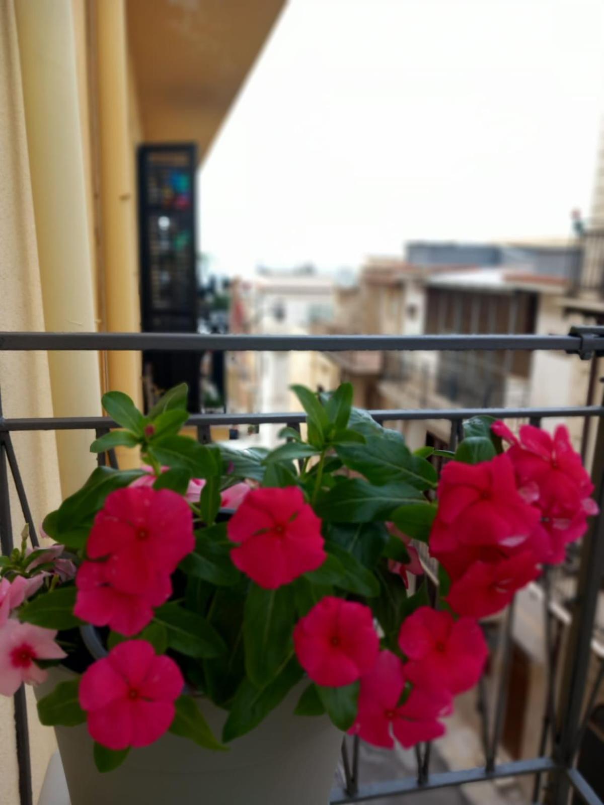 Caterina'S Room Castellammare del Golfo Ngoại thất bức ảnh